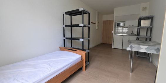 Location Appartement 1 pièce 19m² - Photo 3