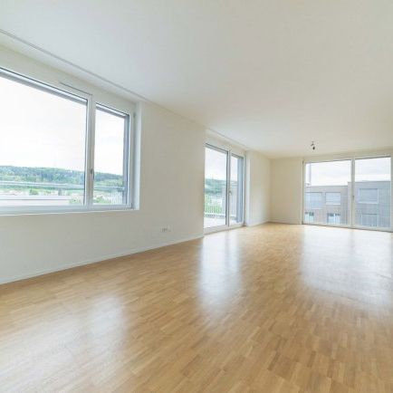 5.5 Zimmer, 114 m², 2. Stock - Foto 1