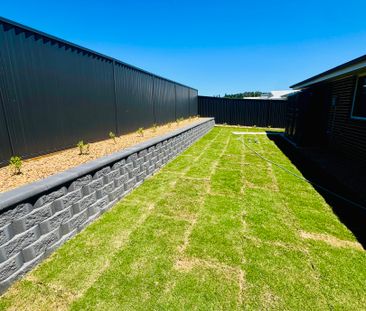 20 Whitebox Street, Orange NSW 2800 - House For Rent | Domain - Photo 6