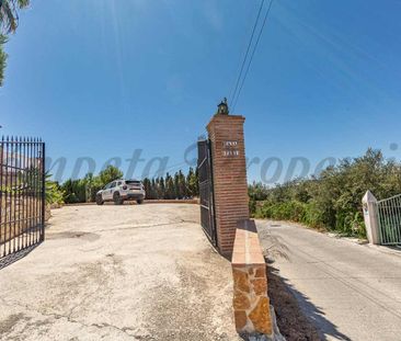 Country Property in Frigiliana, Inland Andalucia in the mountains - Photo 5