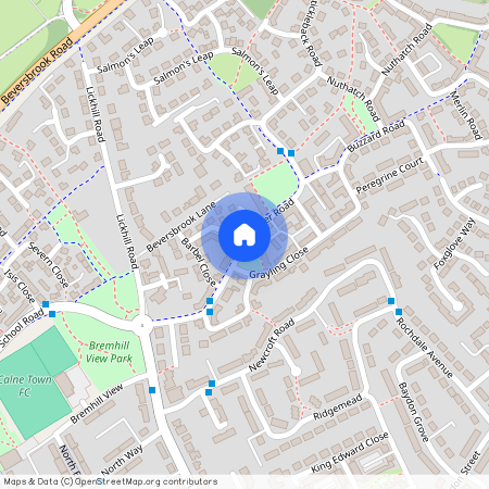 Zander Road, Calne, SN11