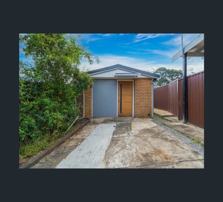 19a Universal Ave, Georges Hall, NSW 2198 - Photo 1