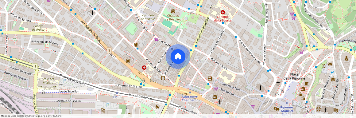 Rue du Maupas 29, CH-1004, Lausanne