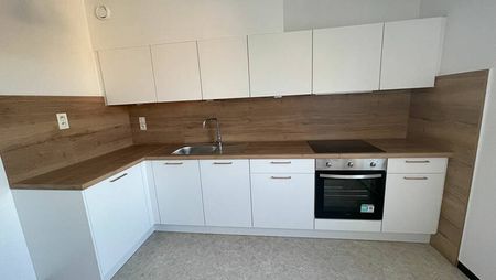 A LOUER - BEAU DEUX PIECES AVEC BALCON - STRASBOURG - ROBERTSAU - Photo 5