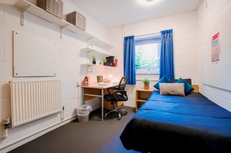 Extra Large Shared - Photo 5