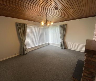 227 Tandragee Road, Portadown, BT62 3RA - Photo 3