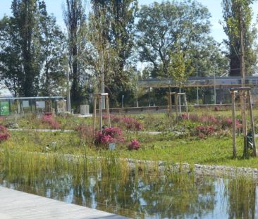 Q5 am PARK großartige 2ZI mit Süd/Balkon PARKBLICK - Photo 4