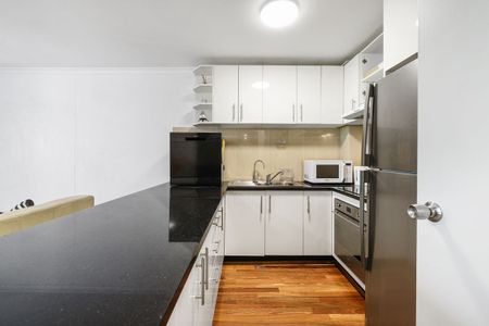 Level1/1-19 Allen Street, Pyrmont, NSW 2009 - Photo 4