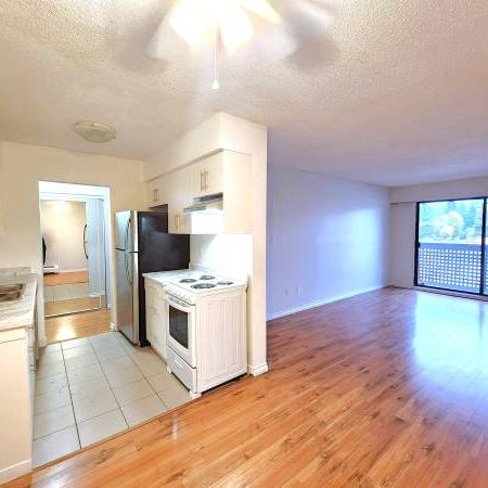 Cozy 2 Bedroom Apartment + Den - Photo 1