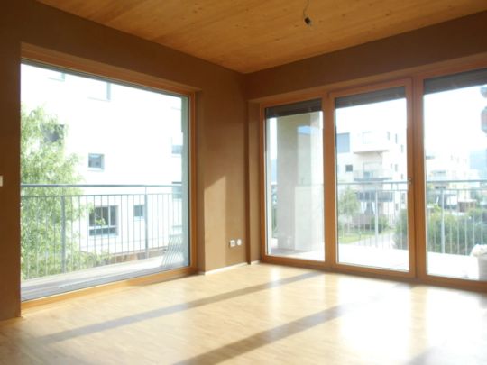 Bestlage Wetzelsdorf 3ZI mit S/W Balkon sonnig,ökologisch,familienfreundlich - Photo 1