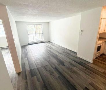 2 CH - 1 SDB - Gatineau - $1,699 /mo - Photo 1