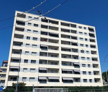 Appartement de 3 pièces à louer à Fribourg - Photo 3