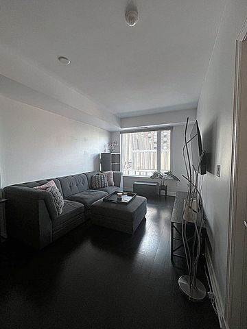 For Lease - 238 Besserer Street Unit# 312, Lower Town - Sandy Hill, Ontario - Photo 4