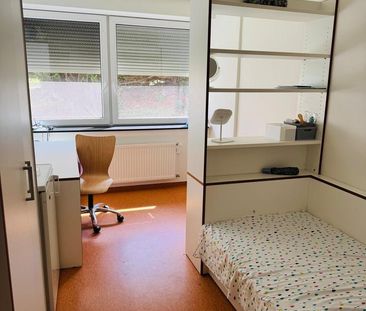 Ein Zimmer im Studentenheim - Photo 3
