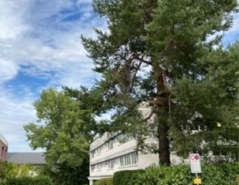 Beautiful 4.5-room apartment with a view of the countryside - Photo 1