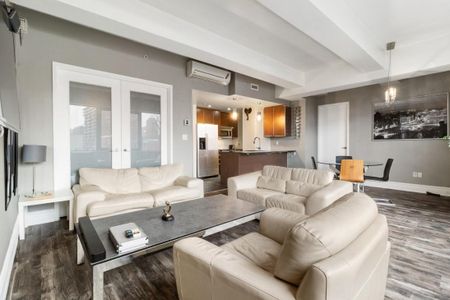 Appartement à louer - Montréal (Ville-Marie) (Centre) - Photo 5