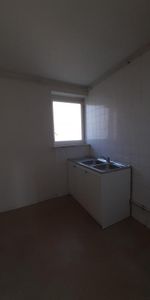 T4-132 RUE LEON JOUHAUX 38100 GRENOBLE - Photo 4