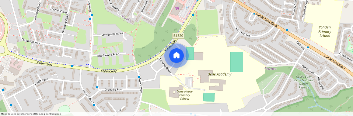 Danesly Close, Peterlee, County Durham, SR8