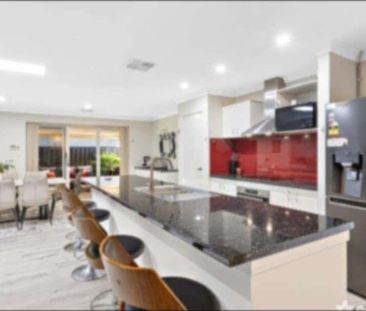 Ellenbrook - Photo 4