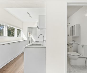 Charming One-Bedroom Apartment with Mount Ainslie Views - Photo 3