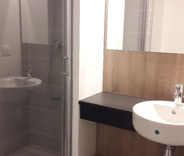 Location Appartement 1 pièce 20m² LYON 7ème - Photo 3