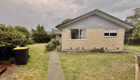 Recently Renovated Family Friendly 3 Bedroom Home - Photo 5