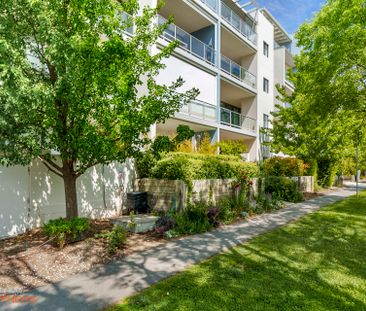 29/10 Burke Crescent, Kingston ACT 2604 - Apartment For Rent | Domain - Photo 5