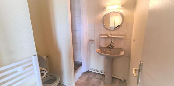 Location Appartement 1 pièce 41m² DIJON 21000 - Photo 2