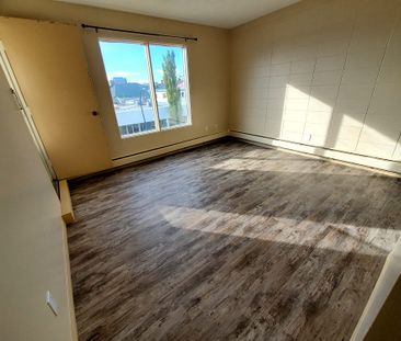 Large 1 Bedroom Units!!! - Photo 4