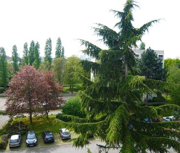 1 Pièce Patton – - Photo 5