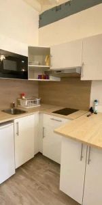Appartement à louer 1 pièce 16.4m² - Photo 3