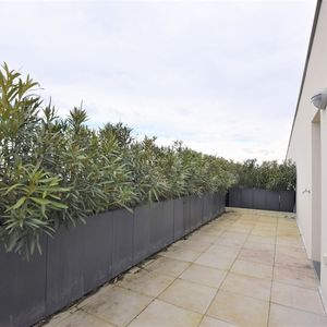 Appartement 1 pièce - Photo 2