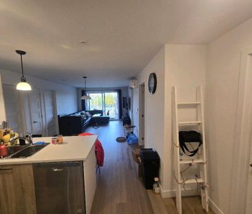 5 1/2 neuf 2024- Gym, piscine, internet & Électros inclus - Cession... - Photo 1