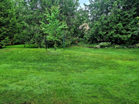 For Lease - 167 Escarpment Crescent, Collingwood, Ontario - Photo 3