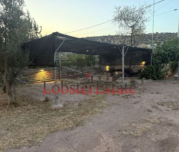 Μονοκατοικία για ενοικίαση Κίτσι (Κορωπί) - Photo 4