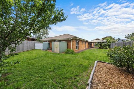 SPACIOUS FAMILY LIVING IN PRIME ALFREDTON - Photo 5