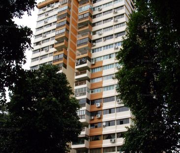 Braddell View (D20), Apartment - For Rent - Photo 5