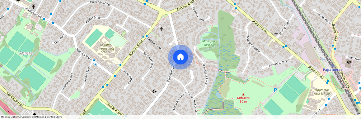 42 Park Avenue, Papatoetoe, Manukau City