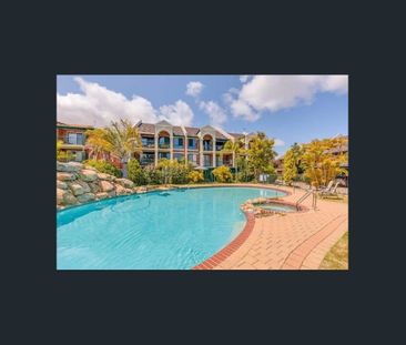 Resort-Style Living in Wembley - Photo 6