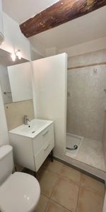 Location Appartement 1 pièce 18m² EGUILLES 13510 - Photo 3