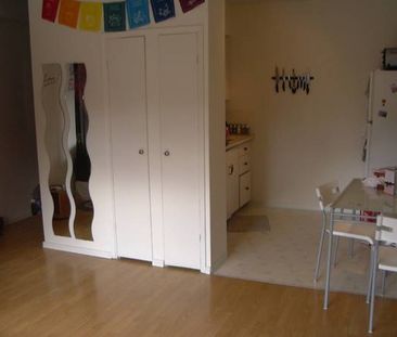 Kits big beautiful studio apartment, with wood floors,on the 2nd floor - Photo 1