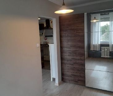Mieszkanie opolskie Strzelce Opolskie powierzchnia 34.5 m² C240-WM-... - Zdjęcie 1