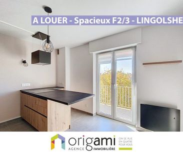 LINGOLSHEIM - Grand F2 récemment rénové - Photo 1