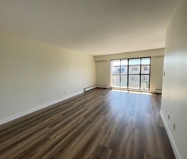 Newly Renovated Second Floor Apartment in White Rock - Photo 4