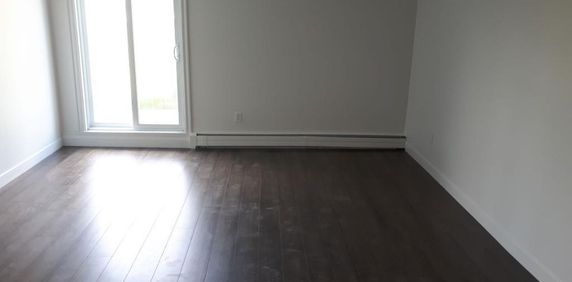 SUPERBE 3 ½ ENTIÈREMENT RÉNOVÉ - LIMOILOU - 995$ CHAUFFÉ,EAU CHAUDE - DISPONIBLE MAINTENANT OU POUR OCTOBRE OU NOVEMBRE - Photo 2