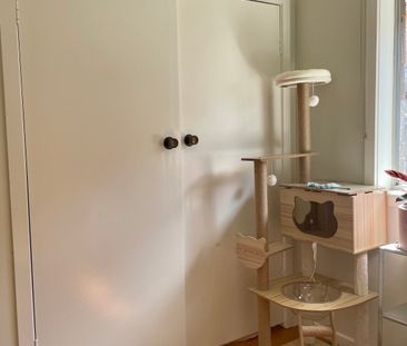 Brunswick West - Photo 6