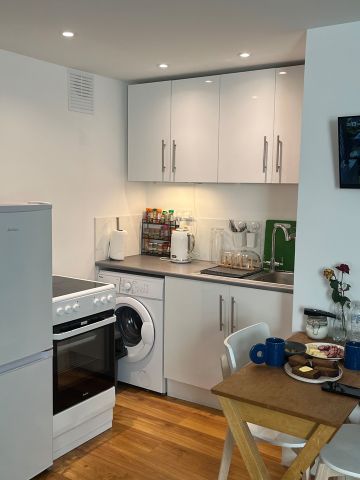 Studio Flat, Norwich Road, E7 - Photo 3