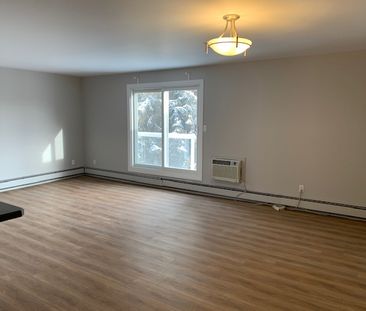 2 Br Renovated Condo In King Edward Park With Parking & Util. Inclu... - Photo 1