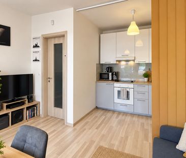 Apartment for rent, 1+KK - Studio, 35m - Photo 6
