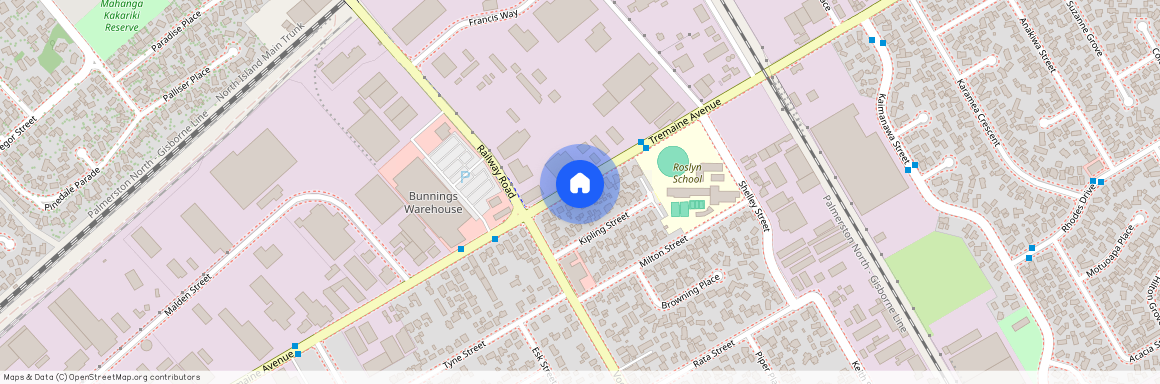 1014 Tremaine Avenue, Roslyn, Palmerston North City